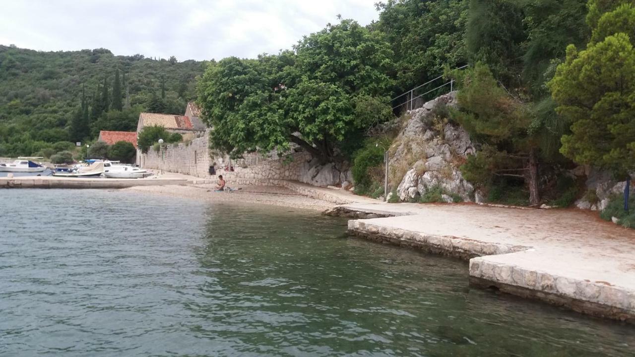 Vesna - Your Best Choice - 80 M From Beach Zaton  Eksteriør billede